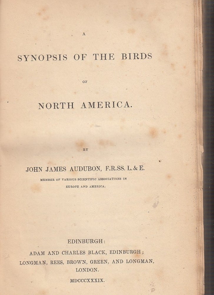 Item #E24753DD A Synopsis Of The Birds of North America. John James audubon.