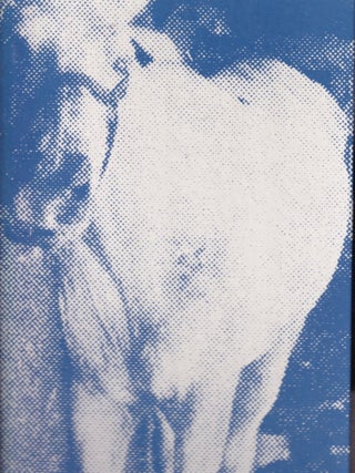 Item #E33834 My Pretty Pony. Barbara Kruger, Stephen King