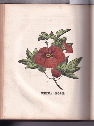The Parlor Annual and Christian Family Casket 1846