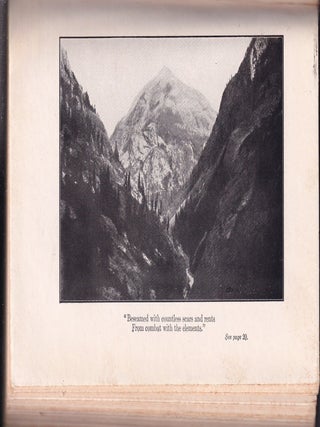 The Passing of The Storm and Other Poems (in decorated binding)