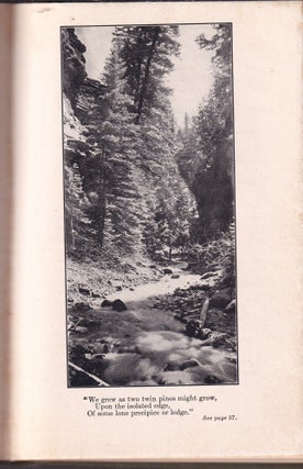 The Passing of The Storm and Other Poems (in decorated binding)