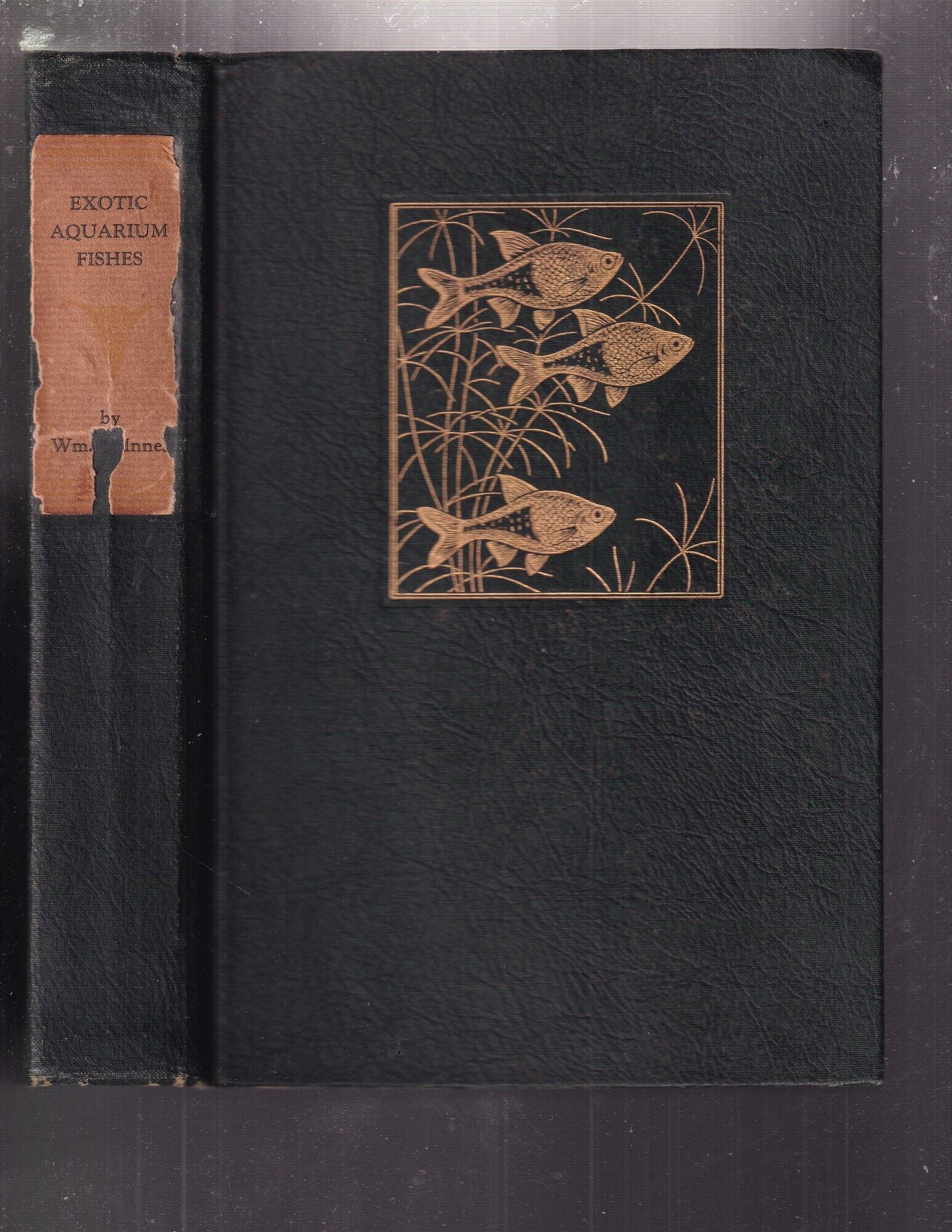 Exotic Aquarium Fishes: A Work of General Reference | William T. Innes