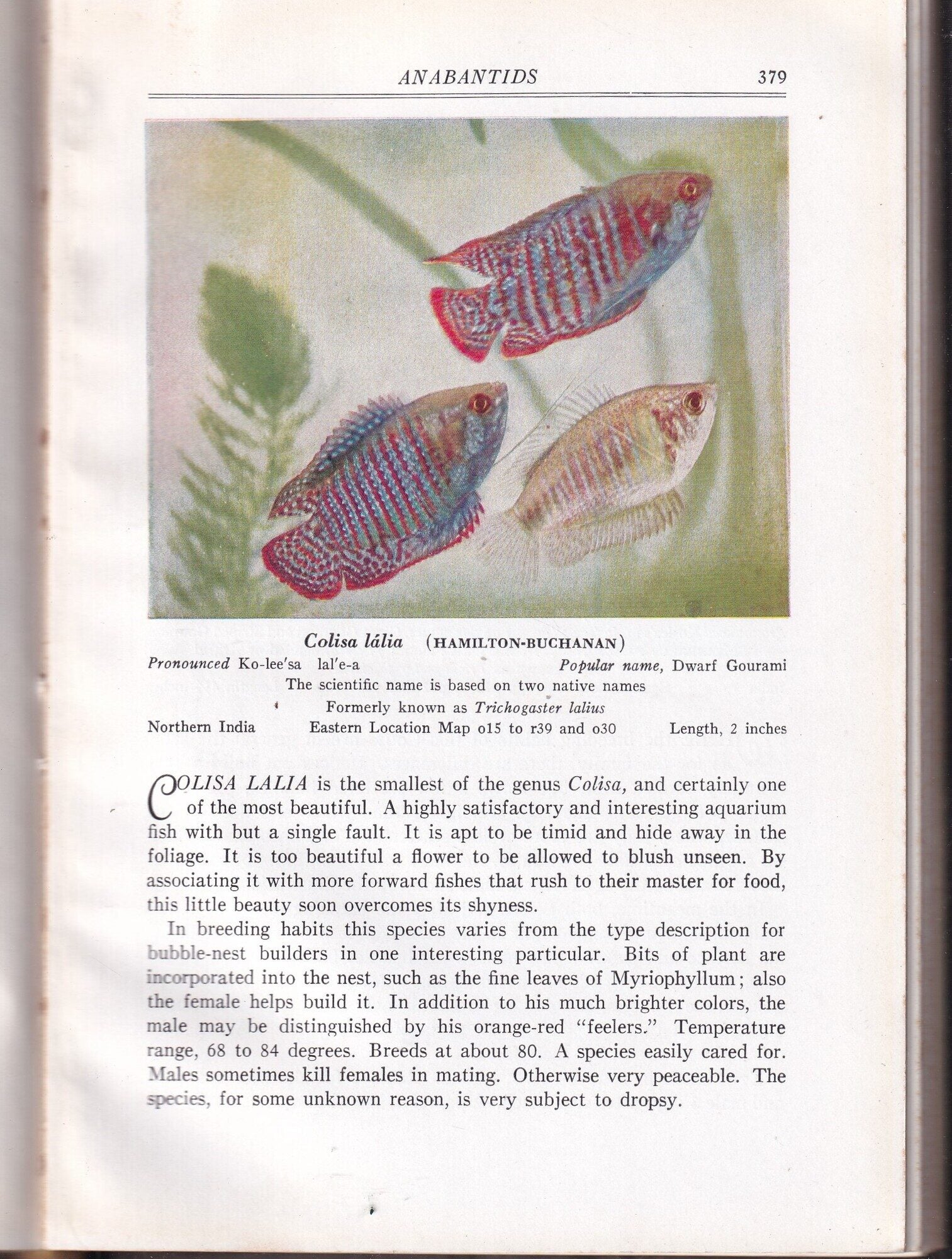 Exotic Aquarium Fishes: A Work of General Reference | William T. Innes