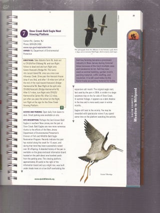 New Jersey Birding & Wildlife Trails: Delaware Bayshore; Salem, Cumberland, Cape May Counties
