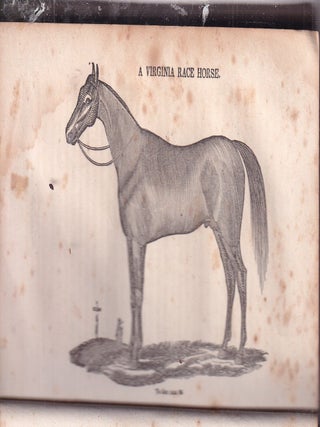 The Gentleman's New Pocket Farrier: A General Description Of The Noble And Useful Animal, The Horse...(with) Annals Of The Turf and American Stud Book; Supplement to Mason and Hind's Popular System of Farriery: Comprising An Essay On Domestic Animals, Especially the Horse..."