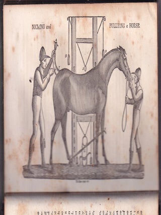 The Gentleman's New Pocket Farrier: A General Description Of The Noble And Useful Animal, The Horse...(with) Annals Of The Turf and American Stud Book; Supplement to Mason and Hind's Popular System of Farriery: Comprising An Essay On Domestic Animals, Especially the Horse..."
