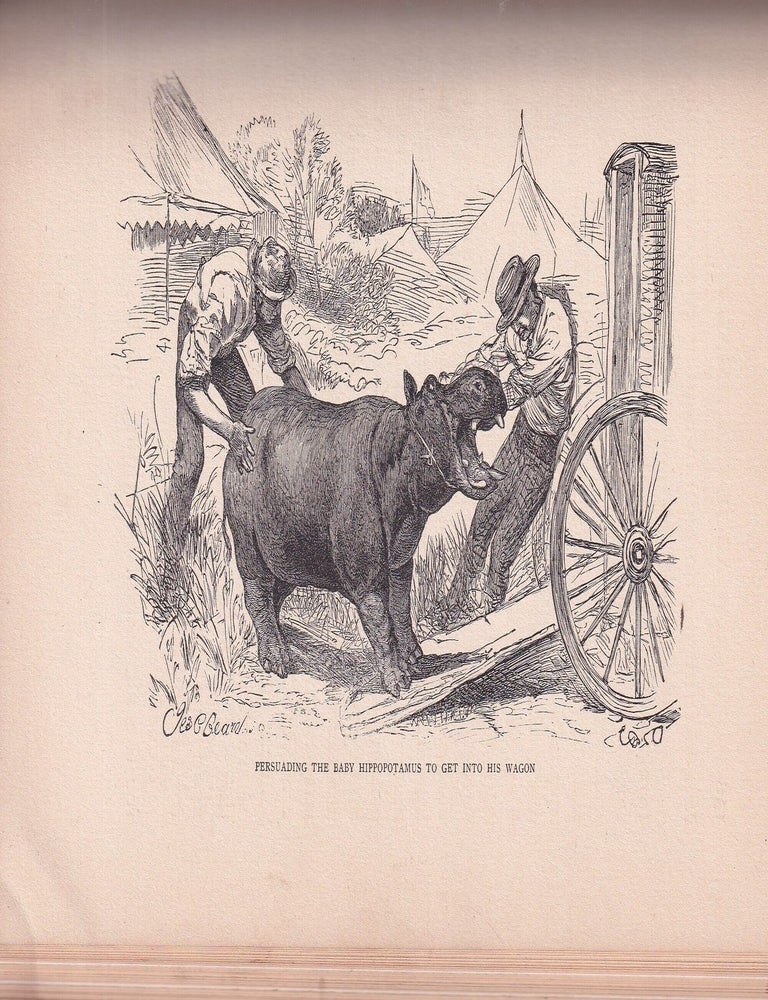 Item #E36816 About Animals retold from St. Nicholas. M H. Carter.