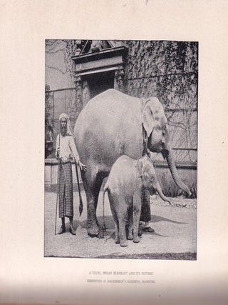 About Animals retold from St. Nicholas