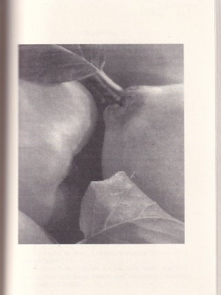 10022 Nights Exotica 2; Stories and Photographs by Cris Newport