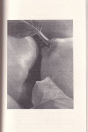 10022 Nights Exotica 2; Stories and Photographs by Cris Newport