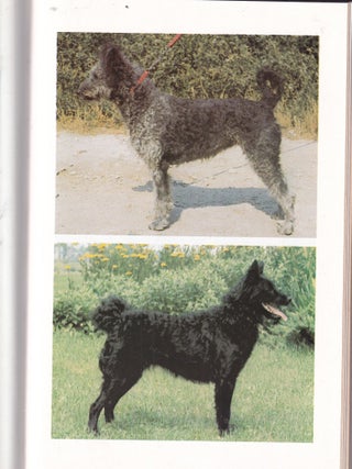 Hungarian Dog Breeds