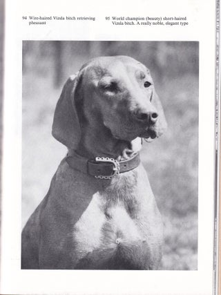 Hungarian Dog Breeds