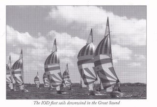 Under the Calabash Tree: 150 Years of the Royal Bermuda Yacht Club