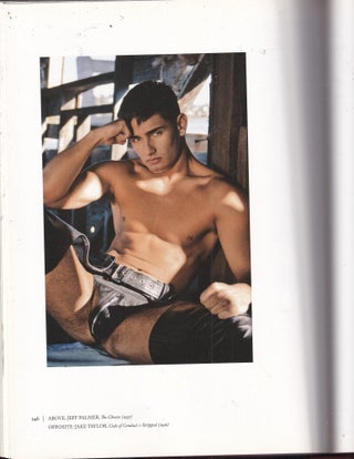 Ultimate Falcon (gay interest)